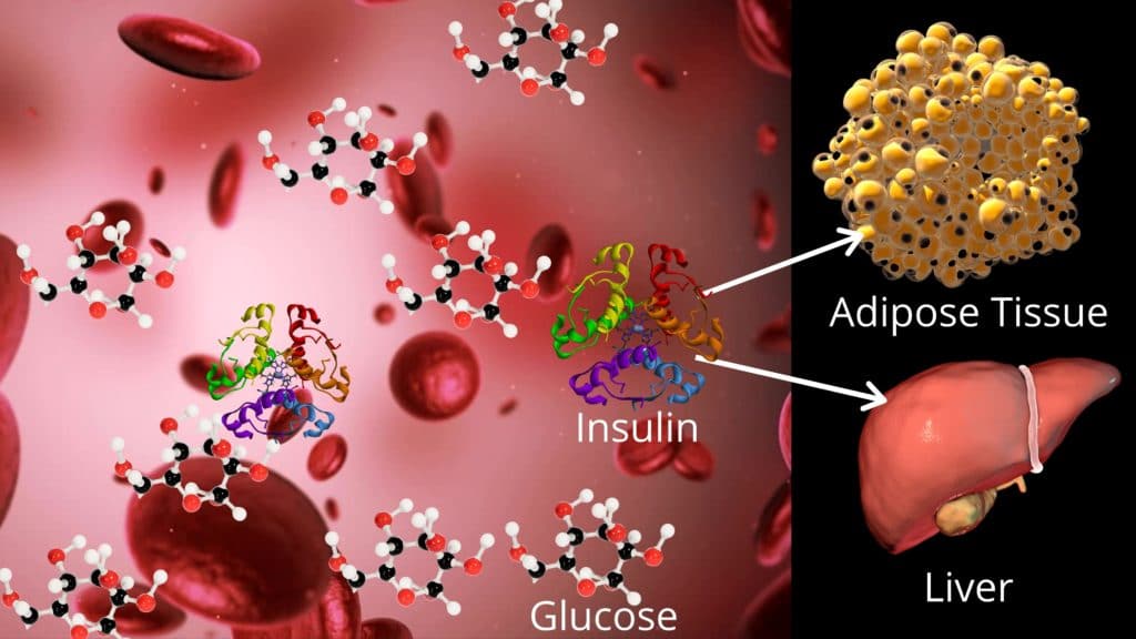 insulin-resistance-the-silent-killer-1-secret-you-must-know